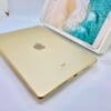 Ipad Pro2 10.5in - 256GB bản SIM 4G